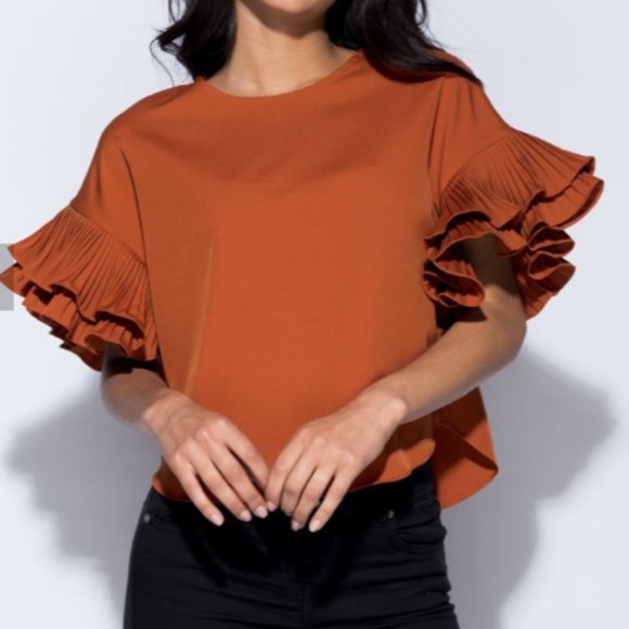 Pleated Detail Ruffle Sleeve Top-Colour-Rust - Picture 1 of 6